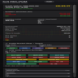 SLN Pro DOM – Control Panel